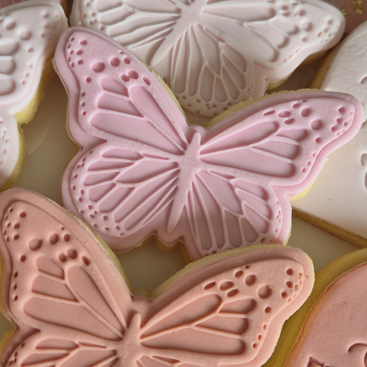 Butterfly Cookies